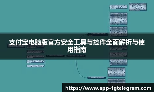 支付宝电脑版官方安全工具与控件全面解析与使用指南
